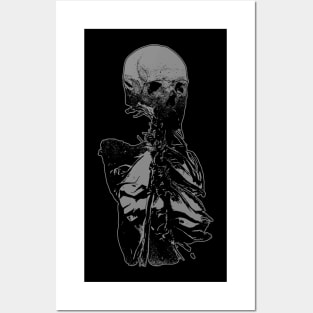 Skeleton Torso Posters and Art